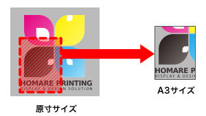 誉展示会装飾 | テクニカルガイド